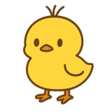 ひよこ